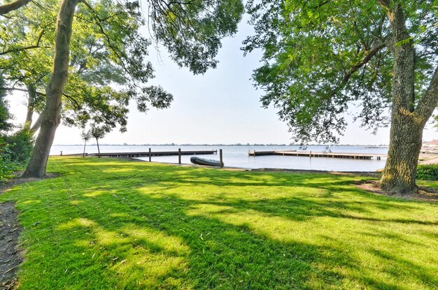 A grassy park with a dock on the water