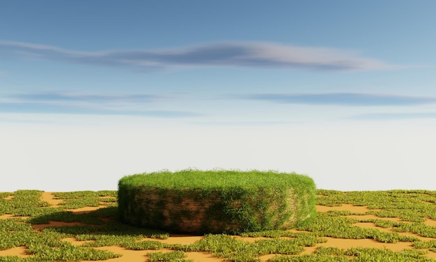 Grassy podium with cloudy blue sky background Nature and abstract object for product presentation