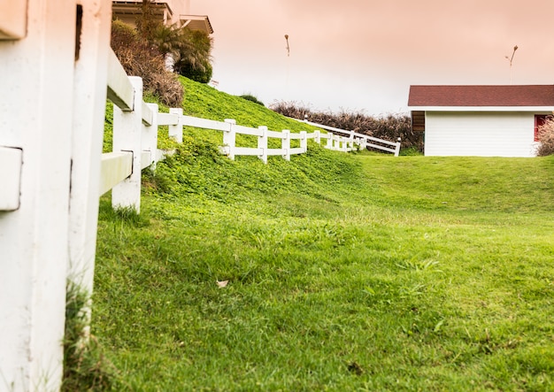 Grassy slopes and field of grass