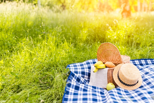 写真 市松模様の格子縞のピクニックバスケットの草が茂った太陽に照らされた牧草地