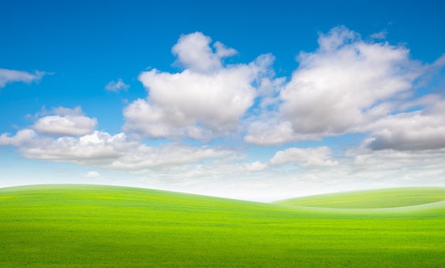 Grasveld en blauwe hemel met wolken