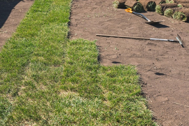 Graszoden leggen voor nieuw concept voor het leggen van gazongras