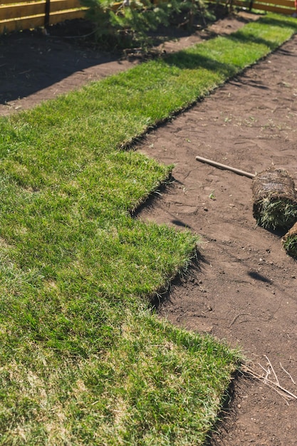 Graszoden leggen voor nieuw concept voor het leggen van gazongras