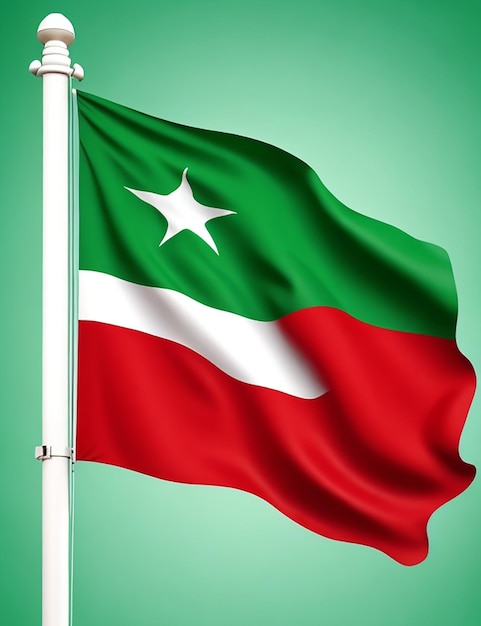 Gratis afbeelding van de vlag van Bangladesh