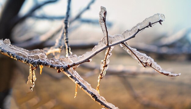 Gratis foto van mysterieus winterlandschap majestueuze bergen in de winter Ai Generated