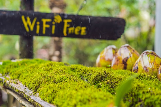 Gratis wifi in de natuur in het bos