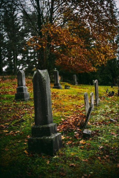 Foto la tomba e gli alberi cadono colori nel cimitero tramonto di notte spaventoso halloween cimitero halloween autunno