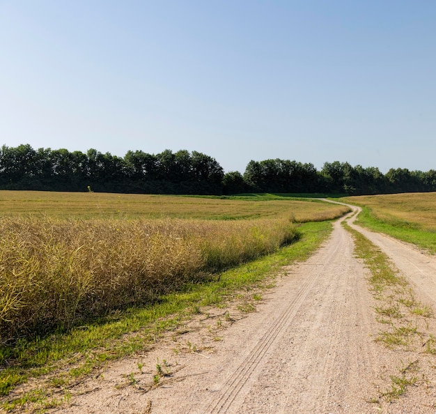 Gravel highway in rural areas