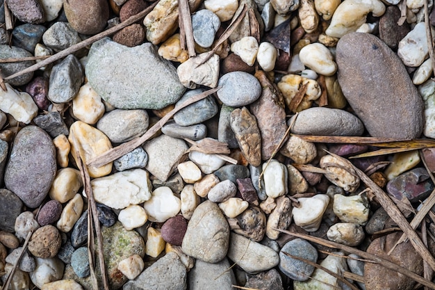 Gravel and leaves background.