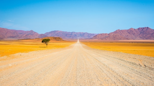 Gravel road crossing the desert