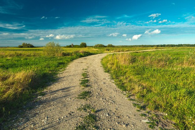 Photo gravel road and meadows