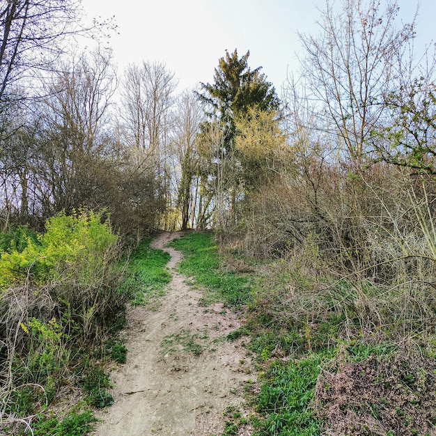 Gravel walkway in the nature