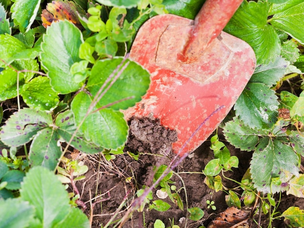 Graven met troffel