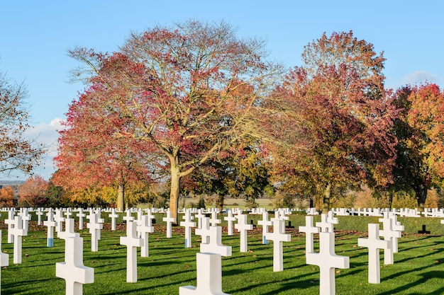 Photo graves in a cemetery