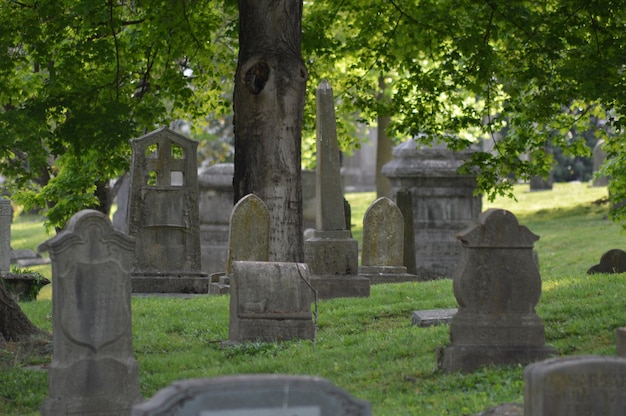 Gravestones at cemetery