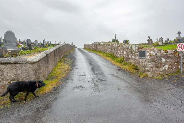 Photo graveyard in ireland