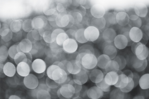 gray abstract bokeh background from nature environment. white blur abstract.  Christmas lights