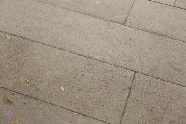 Gray Brick Stone Pavement texture background