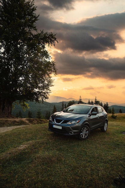 Automobile grigia vicino a un grande vecchio faggio in montagna al tramonto