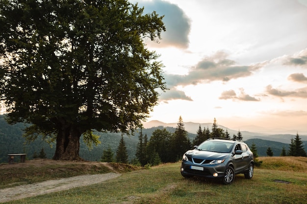 Photo gray car near a big old beech tree in the mountains at sunset