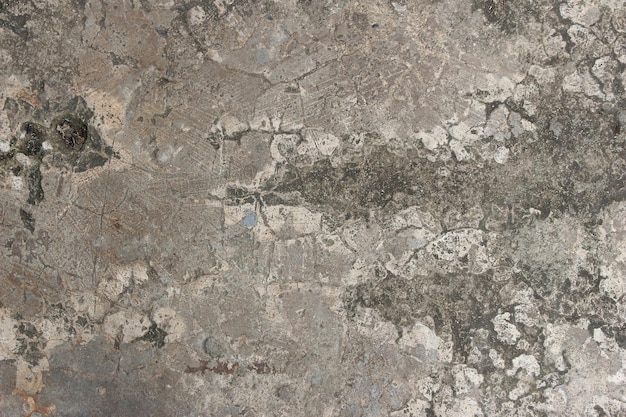 亀裂とカビのテクスチャ背景を持つ灰色のセメントコンクリート壁