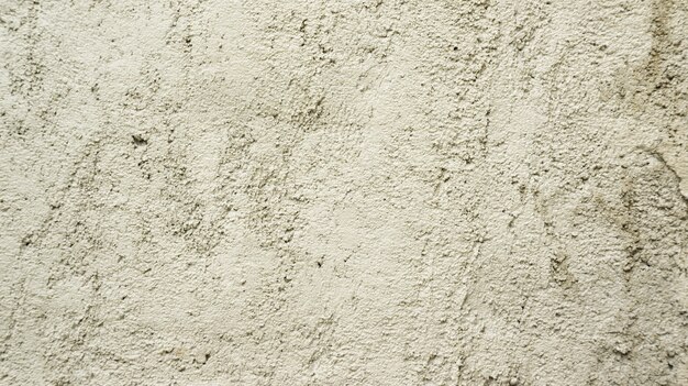 Gray cement wall for a background.