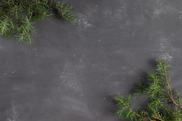 Gray chalkboard with fir branches