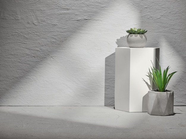 Gray concrete background for product presentation and home plants