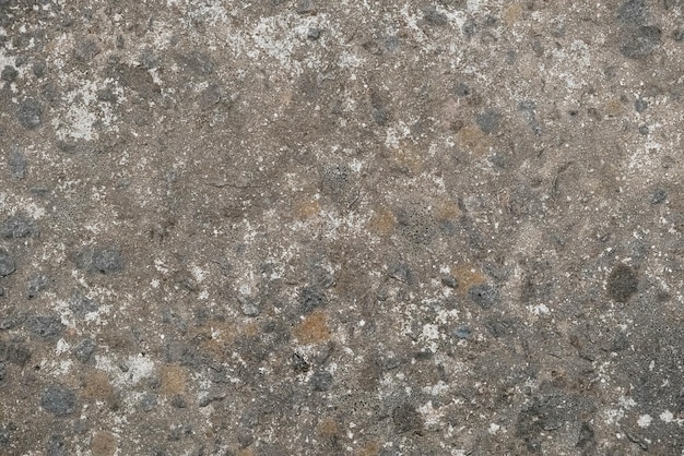 Gray concrete surface texture as background. Copy, empty space for text