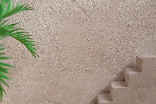 Gray concrete wall stairs and palm tree abstract minimal\
interior summer background