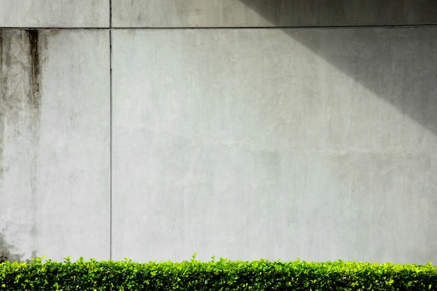 Gray concrete wall with shadow from building