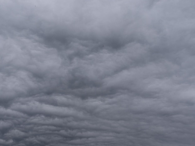 Gray and dark storm clouds before the storm