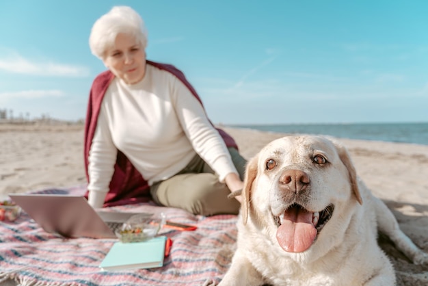 Gray-haired elderly Caucasian lady sitting on the sand and staring at her adorable Labrador Retriever