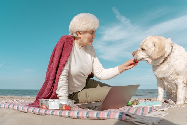 Gray-haired lady sitting on the sand by the sea and giving a strawberry to her cute pet