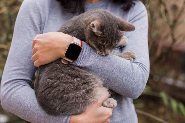 Gray kitty in the arms of a girl in a gray sweater