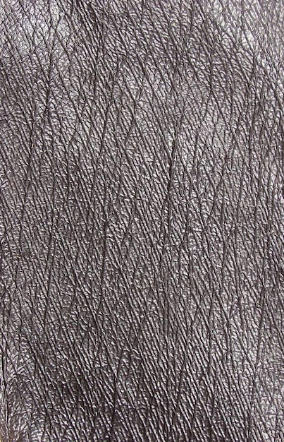 Gray leather texture 01