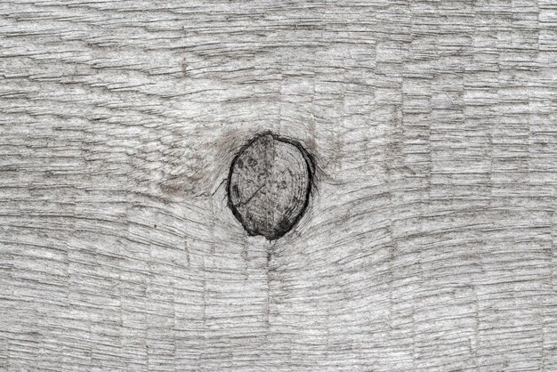 Gray natural wood background with knot. Close-up macro view of wooden pattern, ancient timber texture.