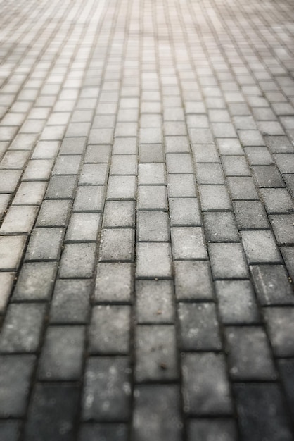 Gray paving stone path goes away the prospect in the sunset