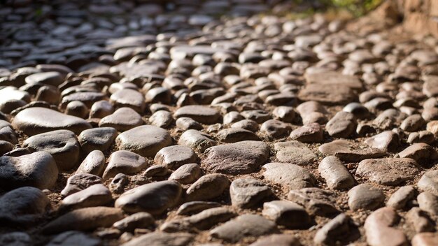 Gray paving stones under the sunshine close up