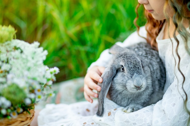 A gray rabbit in a girl's arms on the green grass in summer