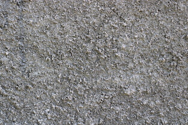 Gray rough wall texture photo