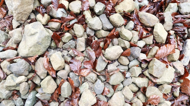 Gray rounded stones with fallen leaves close-up. close-up\
colorful stones on the ground with dry leaf and some wool. pattern\
stone. natural stone on floor.