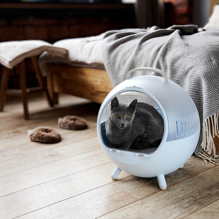 Photo a gray russian blue cat lies in sphere cat bed for cats against the background of the bedroom