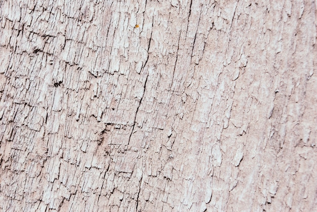 Gray scratched wooden board