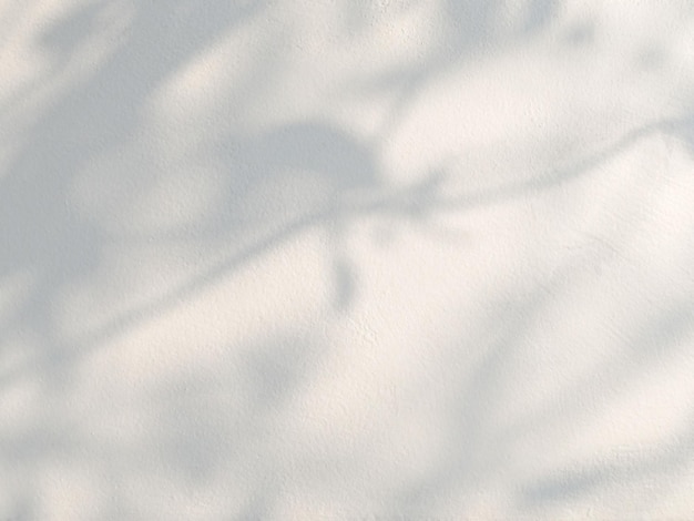 Gray shadow of the leaves on cement wall. Abstract nature concept background.