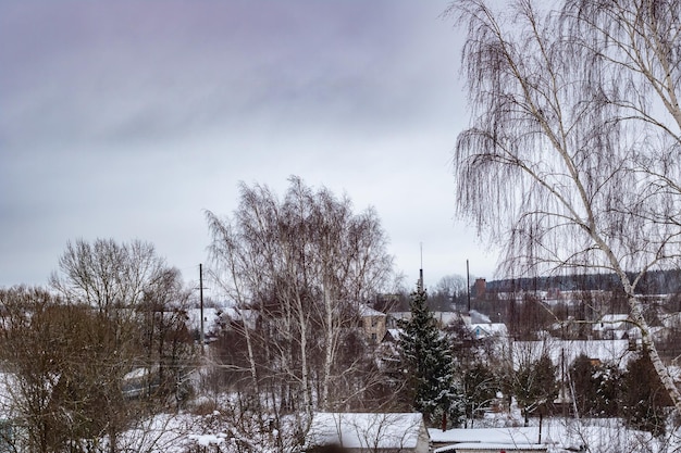 Gray sky over the houses in the countryside