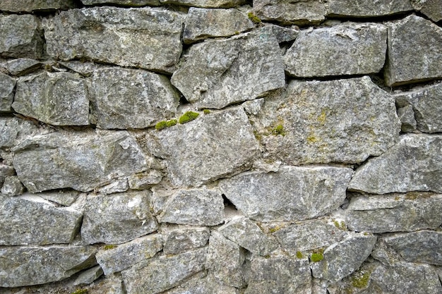 Muro di pietra grigia con muschio e piante