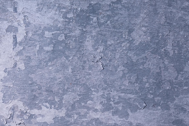 Gray stucco grunge wall, abstract background gray wall
blank