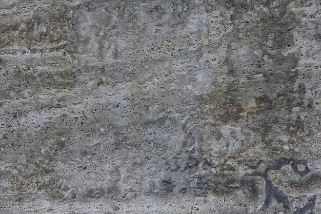 Gray stucco grunge wall, abstract background gray wall
blank