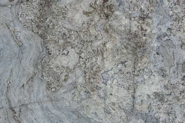 Gray surface of marble stone with striped streaks.